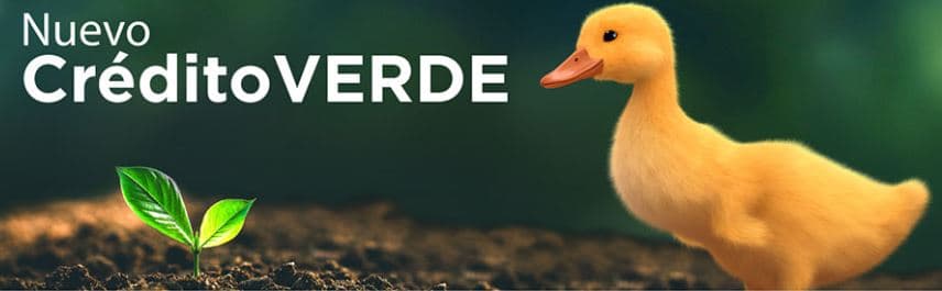 Nuevo Crédito Verde BancoEstado - Patito amarillo con planta verde simbolizando crecimiento sustentable