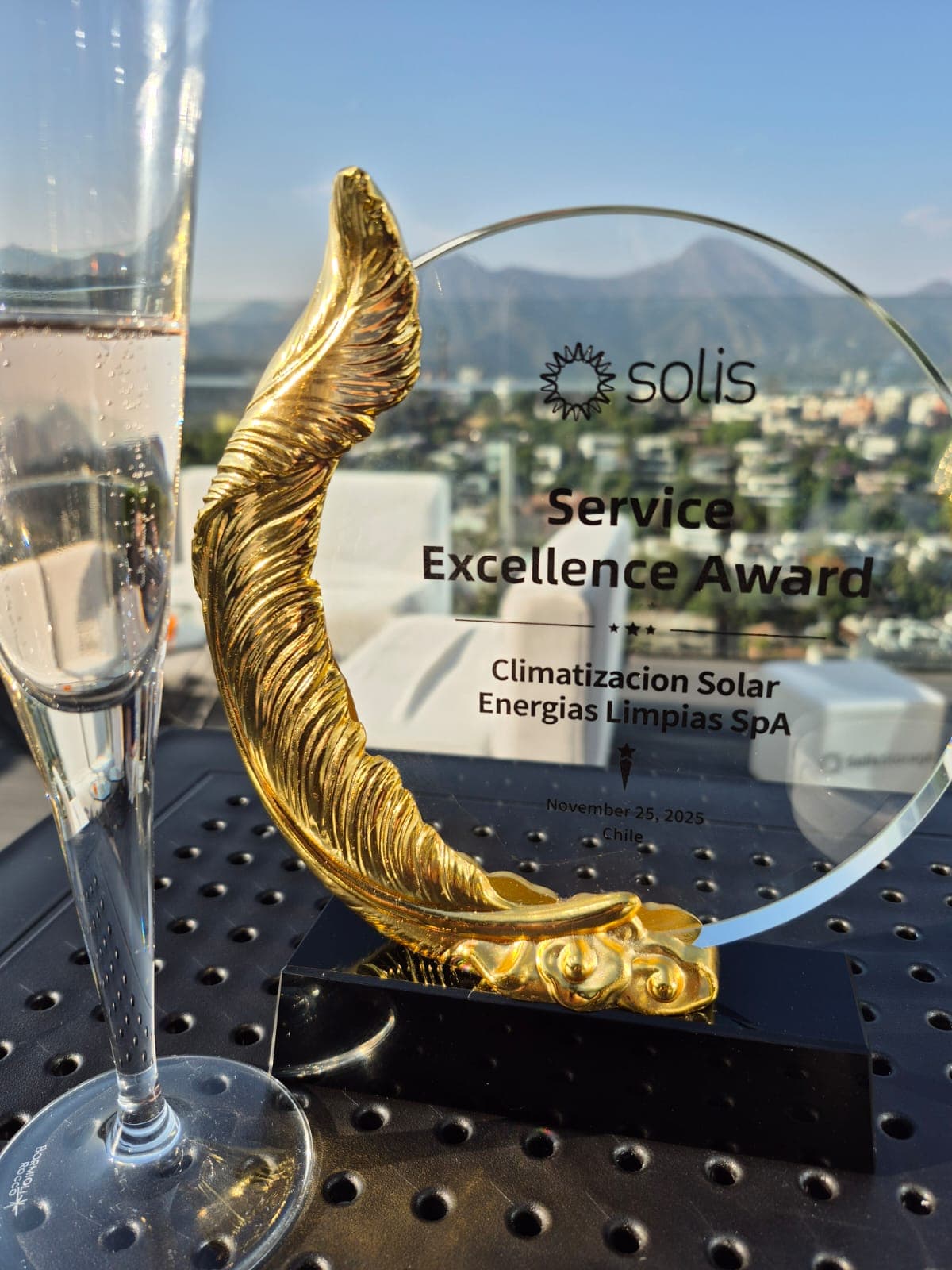 Detalle del trofeo Service Excellence Award