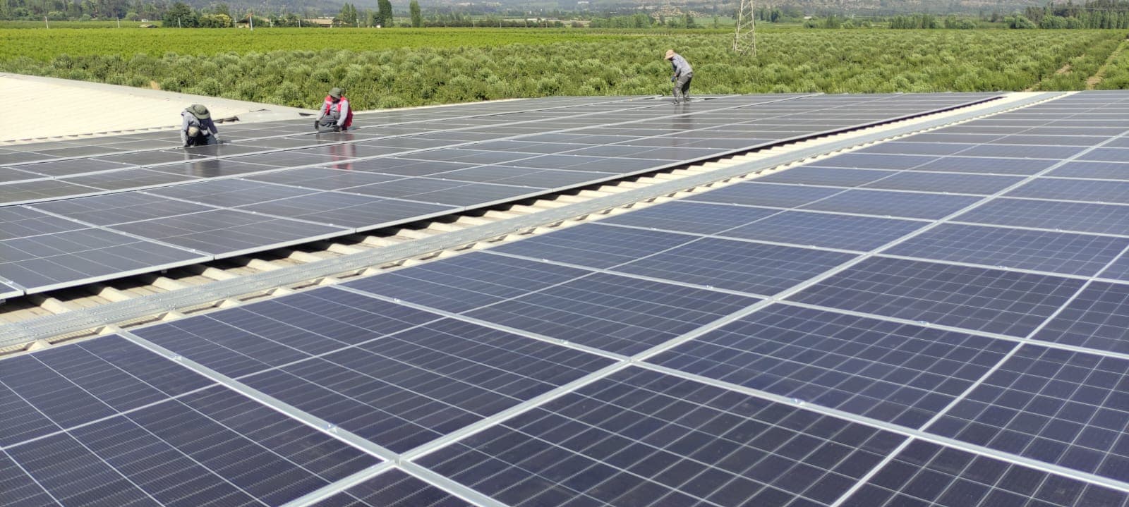 Proyecto solar Agrícola los polos Codegua