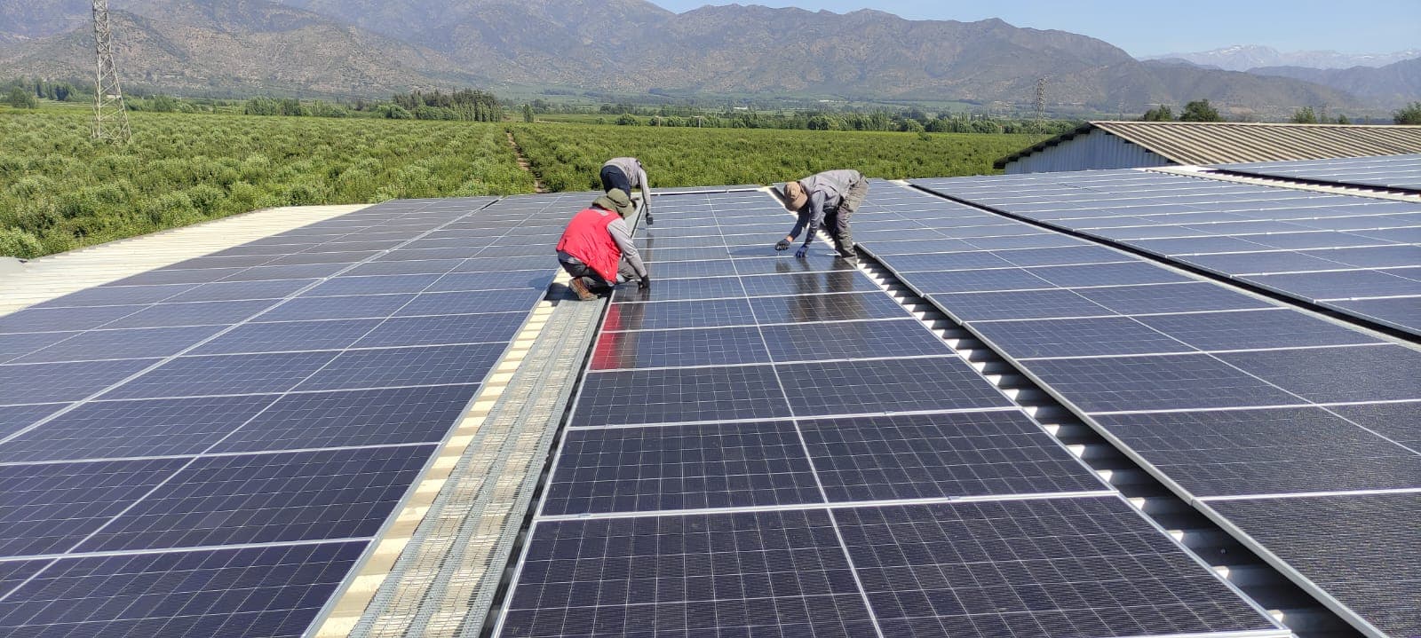 Proyecto solar Agrícola los polos Codegua